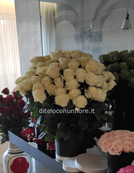 BOX ROSE LUXURY