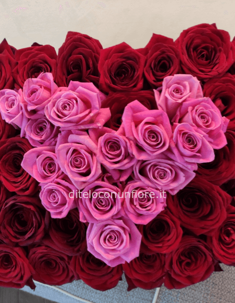 BOX  GRANDE CUORE FANTASIA