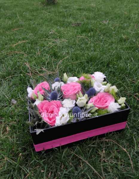 BOX PRIMAVERA