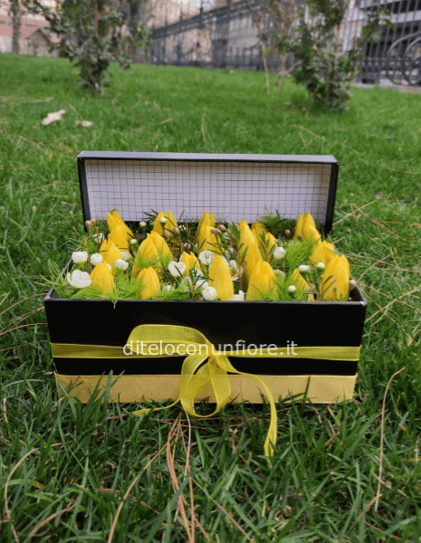 BOX TULIPANI